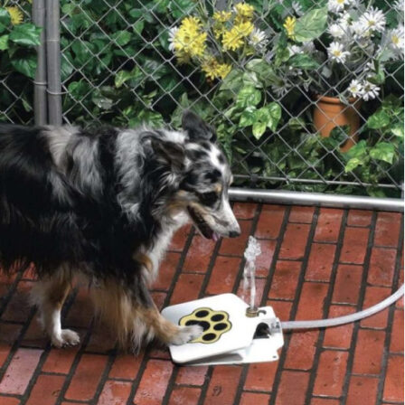 Outdoor Automatic Dog Water Fountain 8