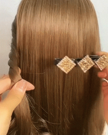 Alice Braided Fashion Hair Clips